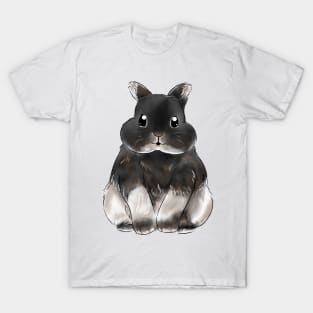 Bobby Netherland Dwarf Rabbit Watercolor Design T-Shirt